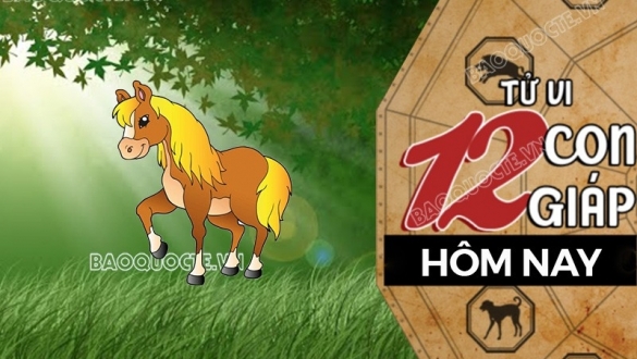 Tử vi hôm nay, xem tử vi 12 con giáp hôm nay ngày 27/5/2025: Tuổi Ngọ kinh doanh hiệu quả