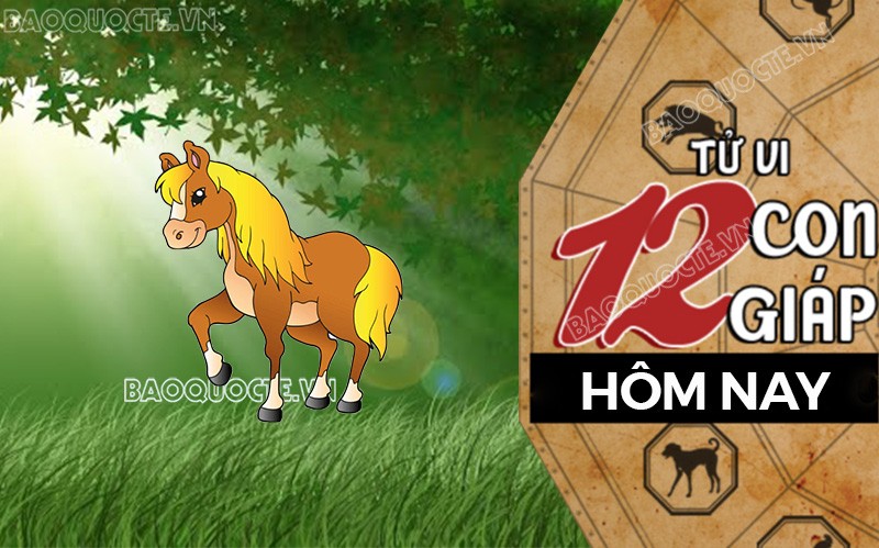 Tử vi hôm nay, xem tử vi 12 con giáp hôm nay ngày 27/5/2025: Tuổi Ngọ kinh doanh hiệu quả