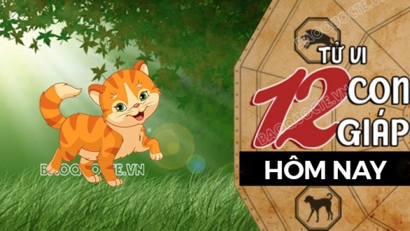 Tử vi hôm nay, xem tử vi 12 con giáp hôm nay ngày 28/5/2025: Tuổi Mão lao động chăm chỉ