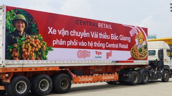 Khoảng 1.000 tấn vải thiều Bắc Giang vụ 2025 sẽ được Central Retail tiêu thụ