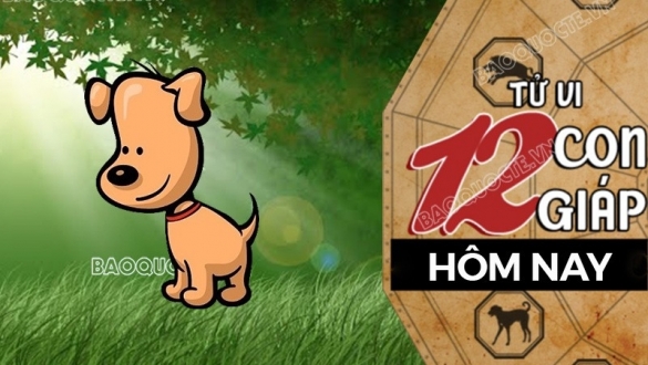 Tử vi hôm nay, xem tử vi 12 con giáp hôm nay ngày 30/5/2025: Tuổi Tuất thu nhập tăng nhanh