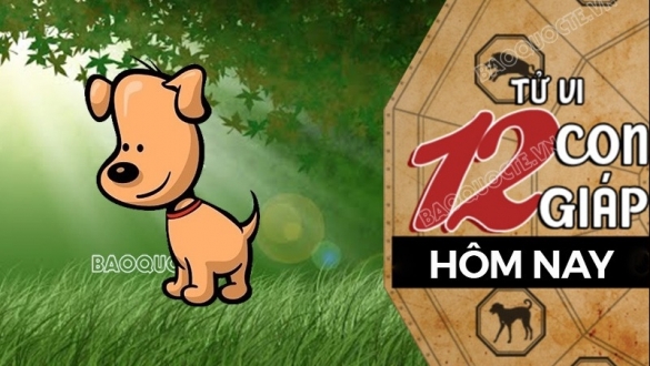 Tử vi hôm nay, xem tử vi 12 con giáp hôm nay ngày 1/6/2025: Tuổi Tuất giao tiếp khéo léo