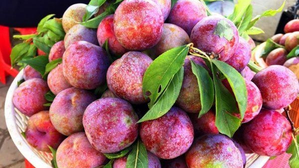 11 lợi ích sức khỏe của quả mận ít người biết