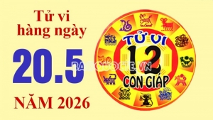 Tử vi hôm nay, xem tử vi 12 con giáp hôm nay ngày 20/5/2026: Tuổi Tuất gia đạo hòa thuận
