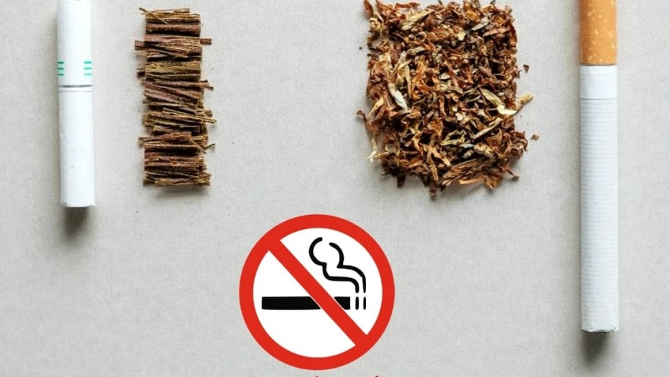 Nicotine len vào giới trẻ: Thách thức mới với y tế và kinh tế Việt Nam