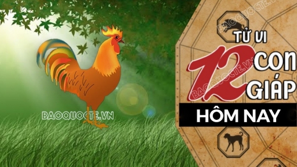 Tử vi hôm nay, xem tử vi 12 con giáp hôm nay ngày 29/5/2026: Tuổi Dậu cải thiện nguồn thu nhập