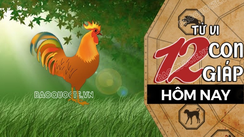 Tử vi hôm nay, xem tử vi 12 con giáp hôm nay ngày 29/5/2026: Tuổi Dậu cải thiện nguồn thu nhập