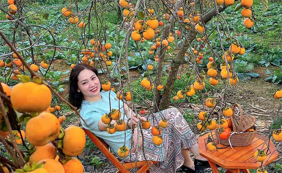 Du lịch Tây Bắc: 7 điểm đến không nên bỏ lỡ ở Mộc Châu