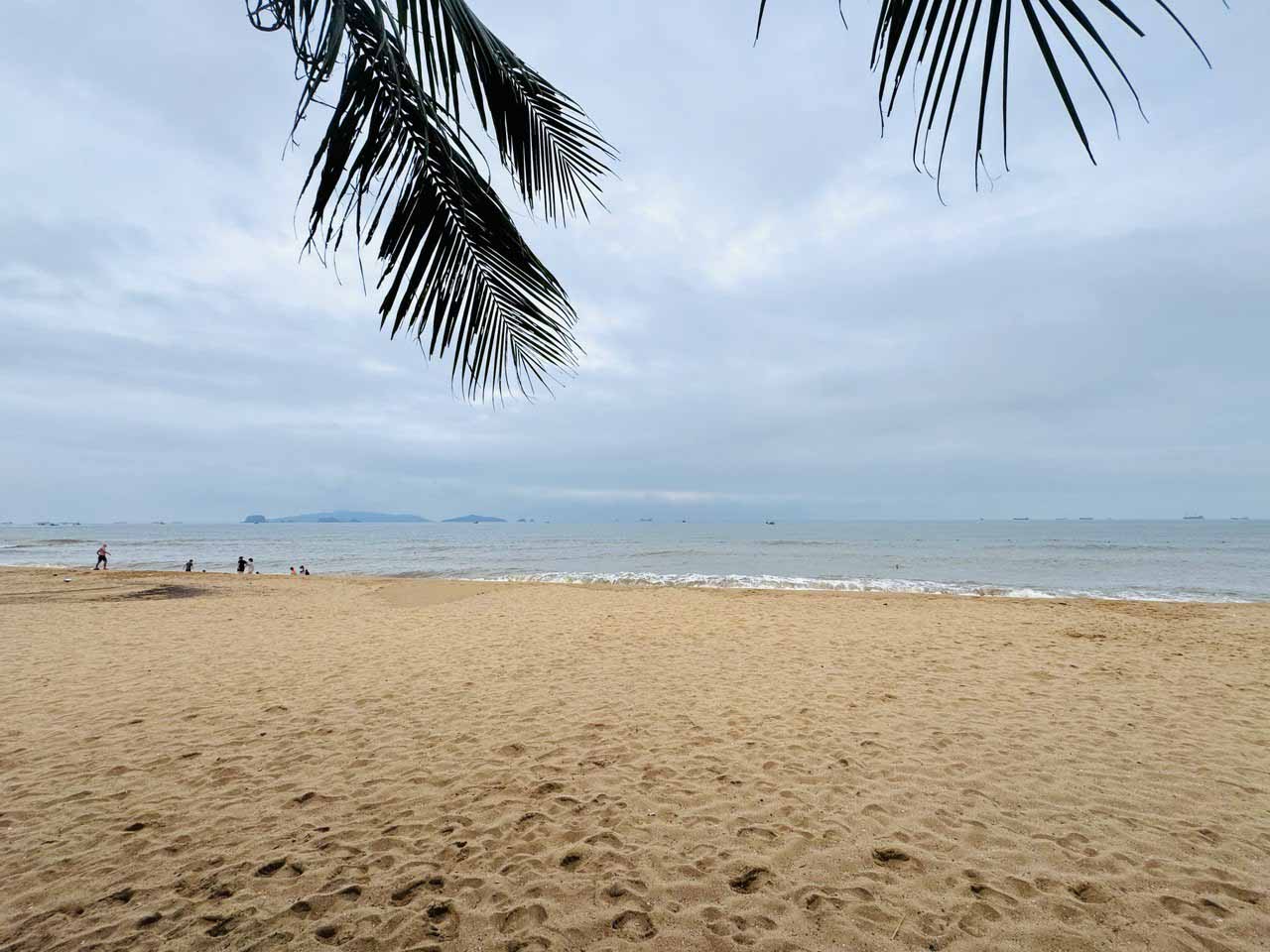 Bãi Đông - bãi biển hoang sơ ở Thanh Hóa góc nào cũng có ảnh đẹp Bãi Đông - bãi biển hoang sơ ở Thanh Hóa góc nào cũng có ảnh đẹp