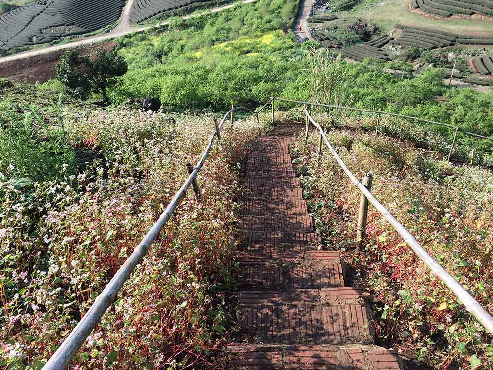 Đi qua mùa hạ ở Mộc Châu