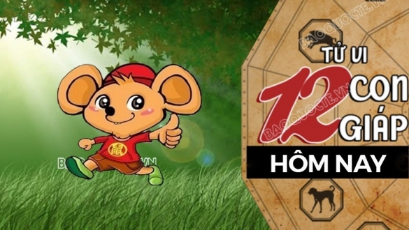 Tử vi hôm nay, xem tử vi 12 con giáp hôm nay ngày 3/6/2025: Tuổi Tý tình duyên không may mắn