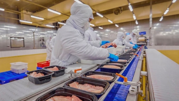 C.P bị tố bán "thịt bẩn": Thế cạnh tranh các đại gia thực phẩm trên thị trường Việt