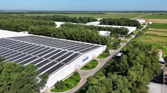 Doanh nghiệp cần gì để chuyển mình nhanh hơn trong kỷ nguyên xanh?