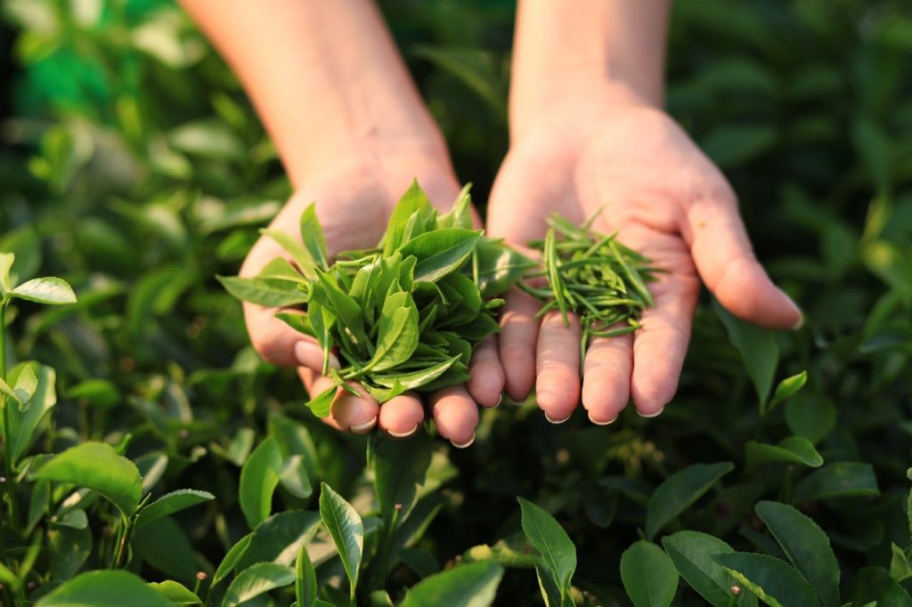 7 thực phẩm vừa làm đẹp da vừa giúp giải độc gan tự nhiên