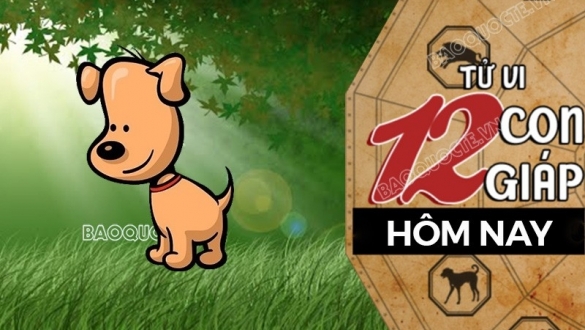 Tử vi hôm nay, xem tử vi 12 con giáp hôm nay ngày 11/6/2025: Tuổi Tuất công việc uy tín