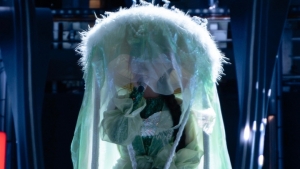 Đưa âm nhạc và văn hóa Việt lên sân khấu quốc tế