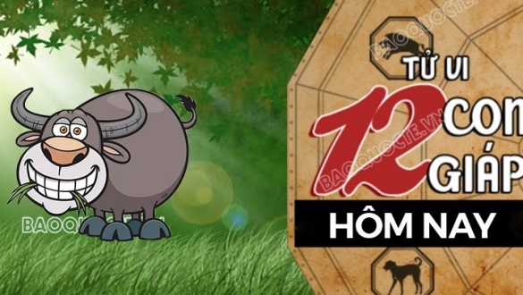 Tử vi hôm nay, xem tử vi 12 con giáp hôm nay ngày 22/6/2025: Tuổi Sửu nguồn thu thăng hạng