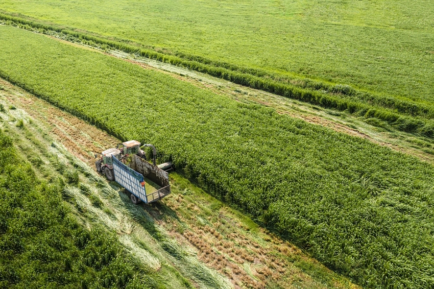 Vinamilk Green Farm - từ resort cho bò đến hộp sữa đạt chuẩn quốc tế Vinamilk Green Farm - từ resort cho bò đến hộp sữa đạt chuẩn quốc tế