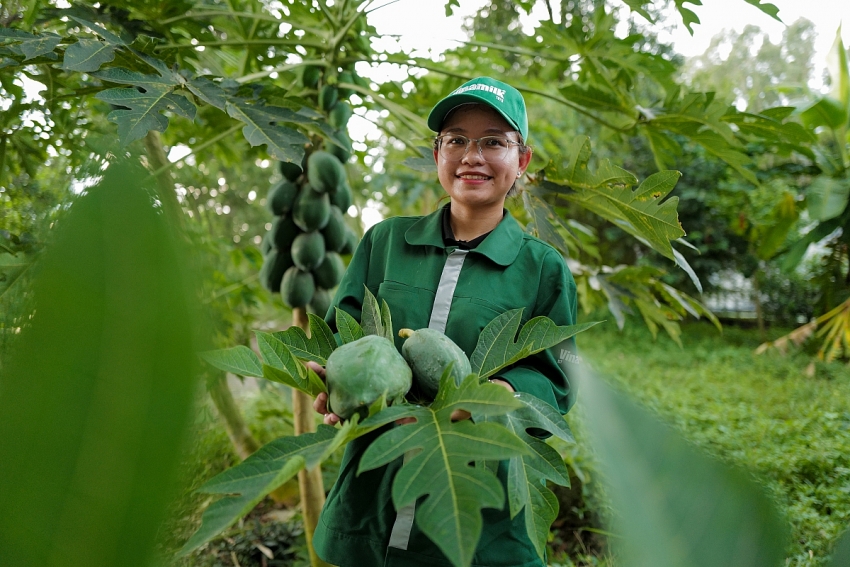 Vinamilk Green Farm - từ resort cho bò đến hộp sữa đạt chuẩn quốc tế Vinamilk Green Farm - từ resort cho bò đến hộp sữa đạt chuẩn quốc tế