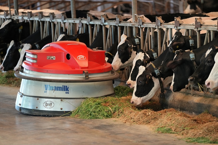 Vinamilk Green Farm - từ resort cho bò đến hộp sữa đạt chuẩn quốc tế Vinamilk Green Farm - từ resort cho bò đến hộp sữa đạt chuẩn quốc tế