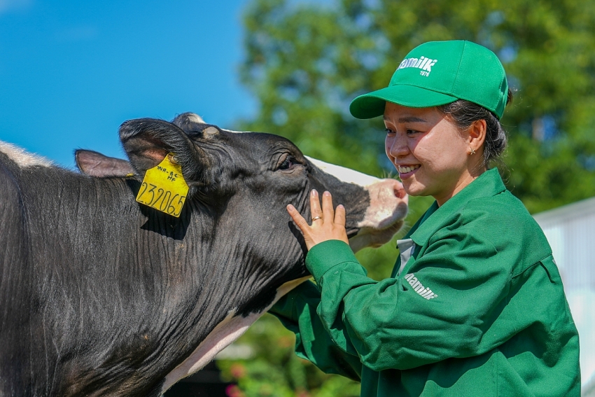 Vinamilk Green Farm - từ resort cho bò đến hộp sữa đạt chuẩn quốc tế Vinamilk Green Farm - từ resort cho bò đến hộp sữa đạt chuẩn quốc tế