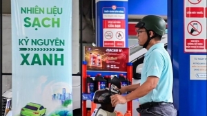 Nhà nước sẽ công bố giá cơ sở xăng E10 thay thế xăng RON 95