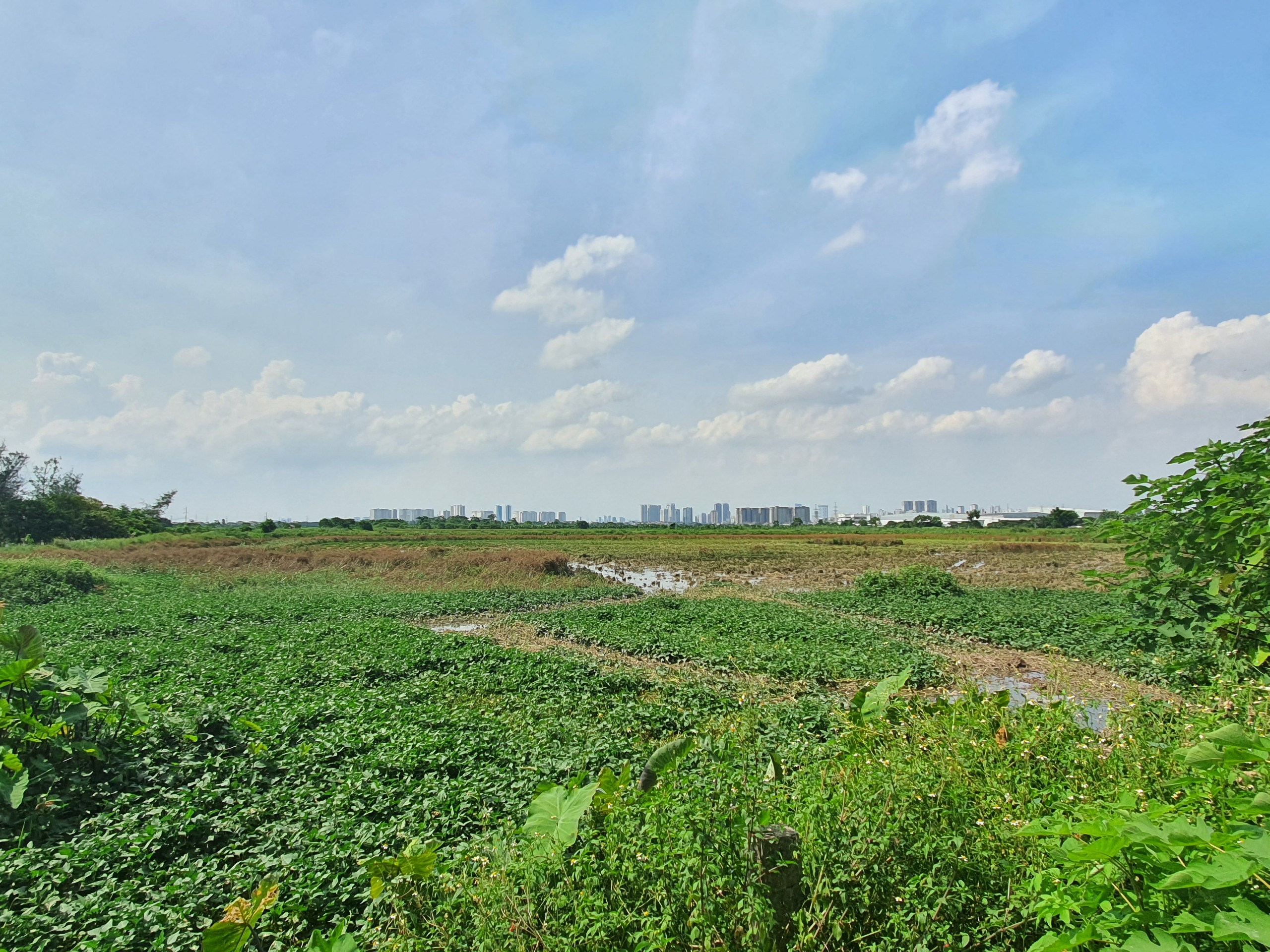 Khu nhà ở sinh thái Đồng Mai: "Biến" đất công nghiệp thành đất ở, diện tích NOXH nguy cơ biến mất?