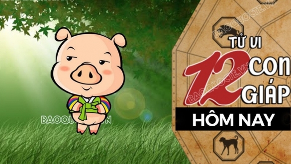 Tử vi hôm nay, xem tử vi 12 con giáp hôm nay ngày 4/7/2025: Tuổi Hợi tình cảm lung lay