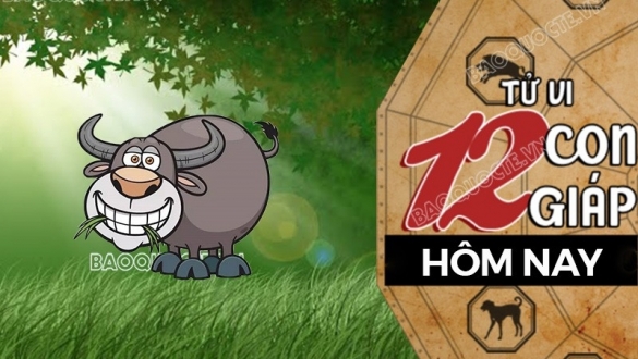 Tử vi hôm nay, xem tử vi 12 con giáp hôm nay ngày 8/7/2025: Tuổi Sửu không nên đầu tư mạo hiểm