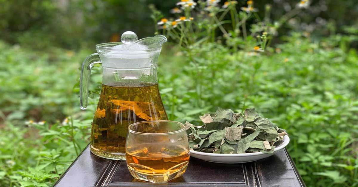 8 loại trà dưỡng nhan và cách sử dụng hiệu quả 8 loại trà dưỡng nhan và cách sử dụng hiệu quả