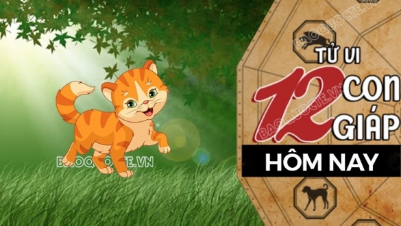 Tử vi hôm nay, xem tử vi 12 con giáp hôm nay ngày 11/7/2025: Tuổi Mão công việc khởi sắc