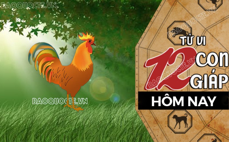 Tử vi hôm nay, xem tử vi 12 con giáp hôm nay ngày 16/7/2025: Tuổi Dậu cải thiện kinh tế Tử vi hôm nay, xem tử vi 12 con giáp hôm nay ngày 16/7/2025: Tuổi Dậu cải thiện kinh tế
