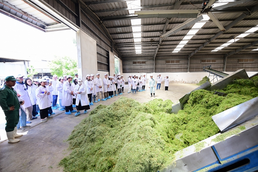 Vinamilk “Mở khóa tự nhiên” tại Green Farm: Mô hình sinh thái truyền cảm hứng doanh nghiệp. Vinamilk “Mở khóa tự nhiên” tại Green Farm: Mô hình sinh thái truyền cảm hứng doanh nghiệp.