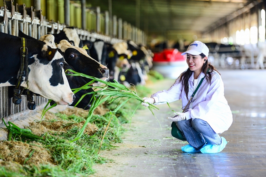Vinamilk “Mở khóa tự nhiên” tại Green Farm: Mô hình sinh thái truyền cảm hứng doanh nghiệp. Vinamilk “Mở khóa tự nhiên” tại Green Farm: Mô hình sinh thái truyền cảm hứng doanh nghiệp.
