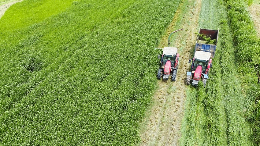 Vinamilk “Mở khóa tự nhiên” tại Green Farm: Mô hình sinh thái truyền cảm hứng doanh nghiệp. Vinamilk “Mở khóa tự nhiên” tại Green Farm: Mô hình sinh thái truyền cảm hứng doanh nghiệp.