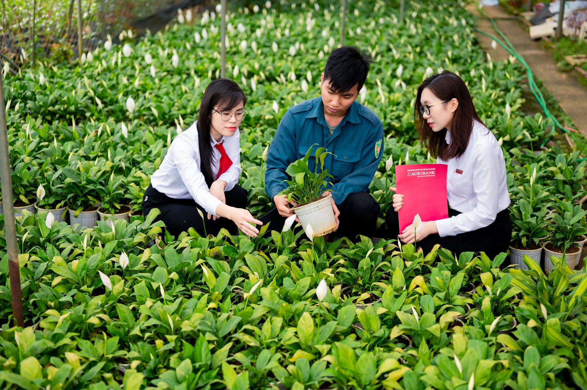 Tín dụng xanh: Đường lớn bị tắc vì vướng nhiều nút thắt Tín dụng xanh: Đường lớn bị tắc vì vướng nhiều nút thắt