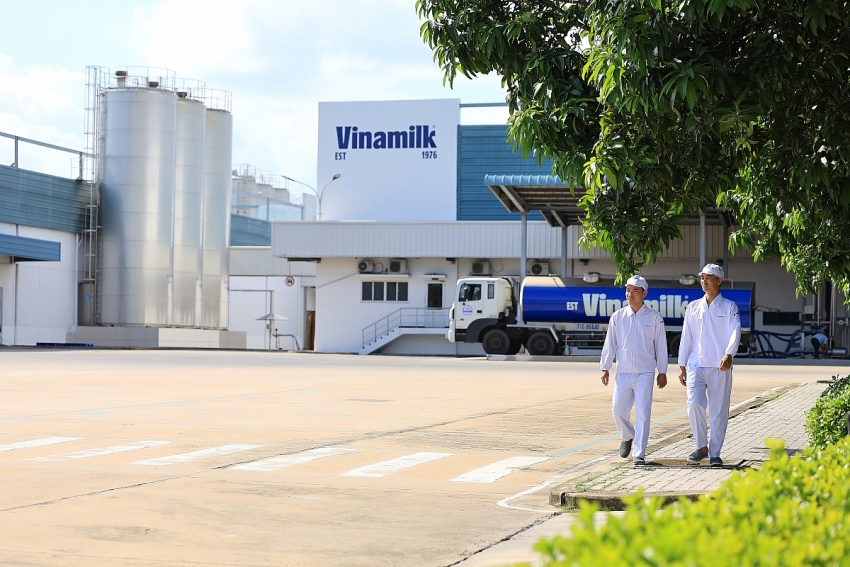 Vinamilk tiếp tục là đại diện duy nhất của ngành sữa Việt Nam trong Fortune 500 Đông Nam Á Vinamilk tiếp tục là đại diện duy nhất của ngành sữa Việt Nam trong Fortune 500 Đông Nam Á