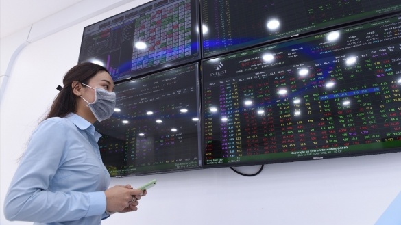 Nhóm cổ phiếu bảo hiểm, chứng khoán chứng kiến mức giảm lớn