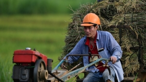 Xuất khẩu gạo: Tận dụng cơ hội chiếm lĩnh các thị trường mới