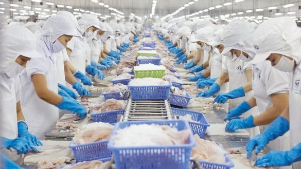 Cảnh báo lừa đảo xuất khẩu hàng hóa sang Canada