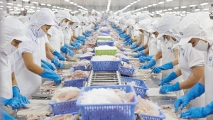 Cảnh báo lừa đảo xuất khẩu hàng hóa sang Canada