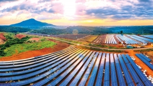 Đấu thầu dự án chuyên ngành, xã hội hóa: Địa phương chờ hướng dẫn, nhiều dự án ách tắc