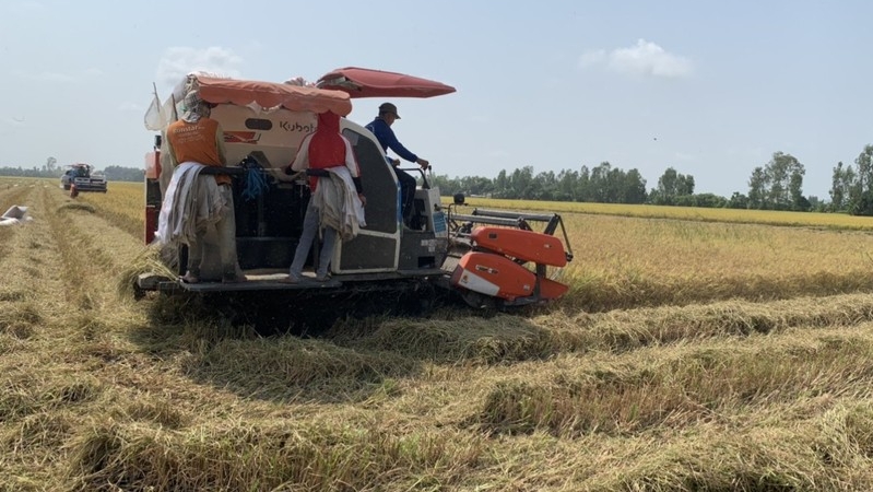 Bình ổn thị trường trong nước và thúc đẩy xuất khẩu gạo