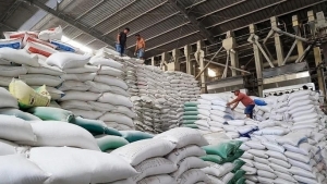 Tương lai nào cho xuất khẩu gạo cuối năm 2024?