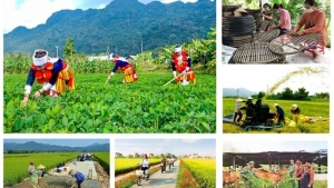 Giải ngân vốn Chương trình mục tiêu quốc gia mới đạt hơn 43% sau 7 tháng