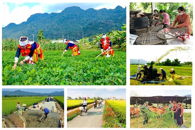 Giải ngân vốn Chương trình mục tiêu quốc gia mới đạt hơn 43% sau 7 tháng Giải ngân vốn Chương trình mục tiêu quốc gia mới đạt hơn 43% sau 7 tháng