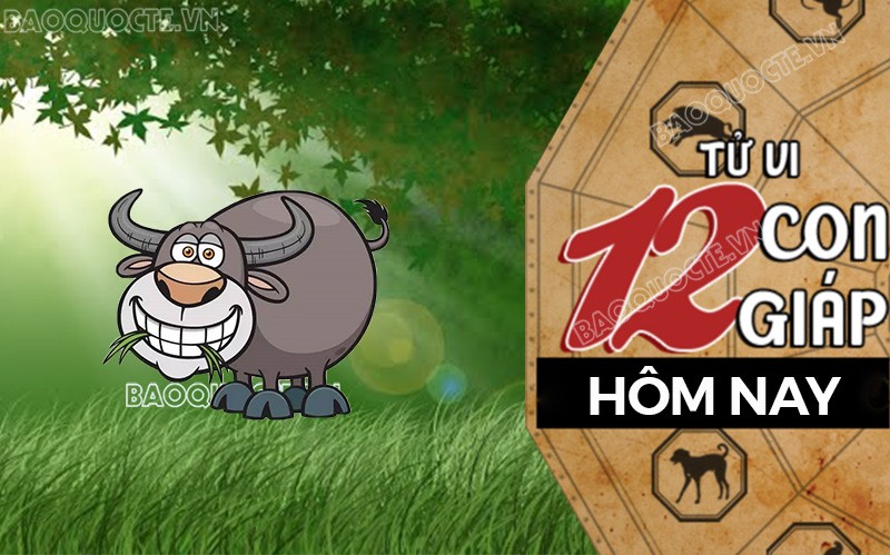 Tử vi hôm nay, xem tử vi 12 con giáp hôm nay ngày 2/8/2025: Tuổi Sửu tình cảm thiếu niềm tin Tử vi hôm nay, xem tử vi 12 con giáp hôm nay ngày 2/8/2025: Tuổi Sửu tình cảm thiếu niềm tin