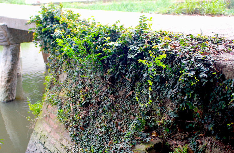 Cầu đá cổ "độc nhất vô nhị" ở Bắc Bộ Cầu đá cổ "độc nhất vô nhị" ở Bắc Bộ