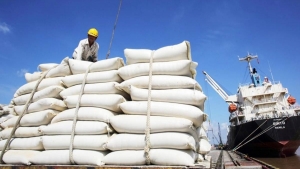 Sức ép từ thuế đối ứng Mỹ, xuất khẩu nửa đầu tháng 8/2025 giảm 13,5%