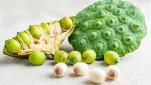 5 lợi ích sức khỏe bất ngờ từ hạt sen